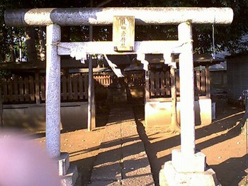 杉並猿田彦神社.jpg